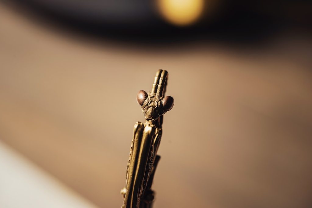 Um Close up De Um Objeto Dourado Com Um Fundo Desfocado Pnd07d59W2c