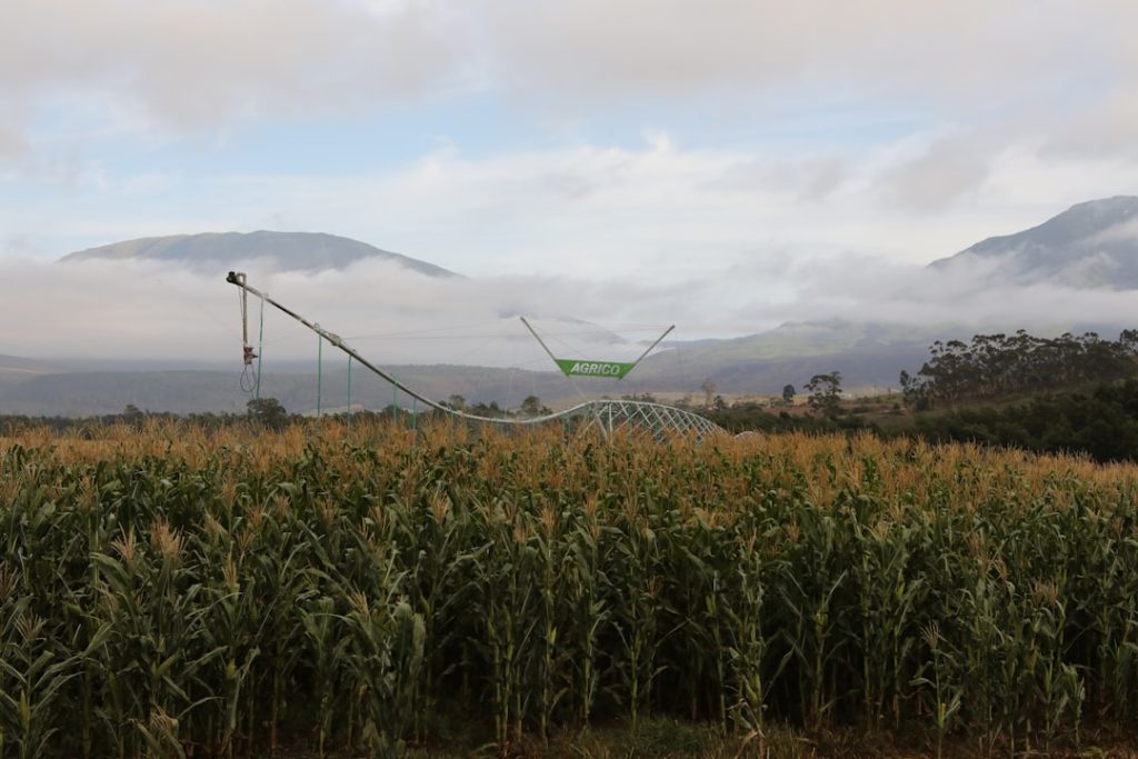 Campo De Grama Verde Sob O Ceu Branco Durante O Dia 81SrlTw8yXE
