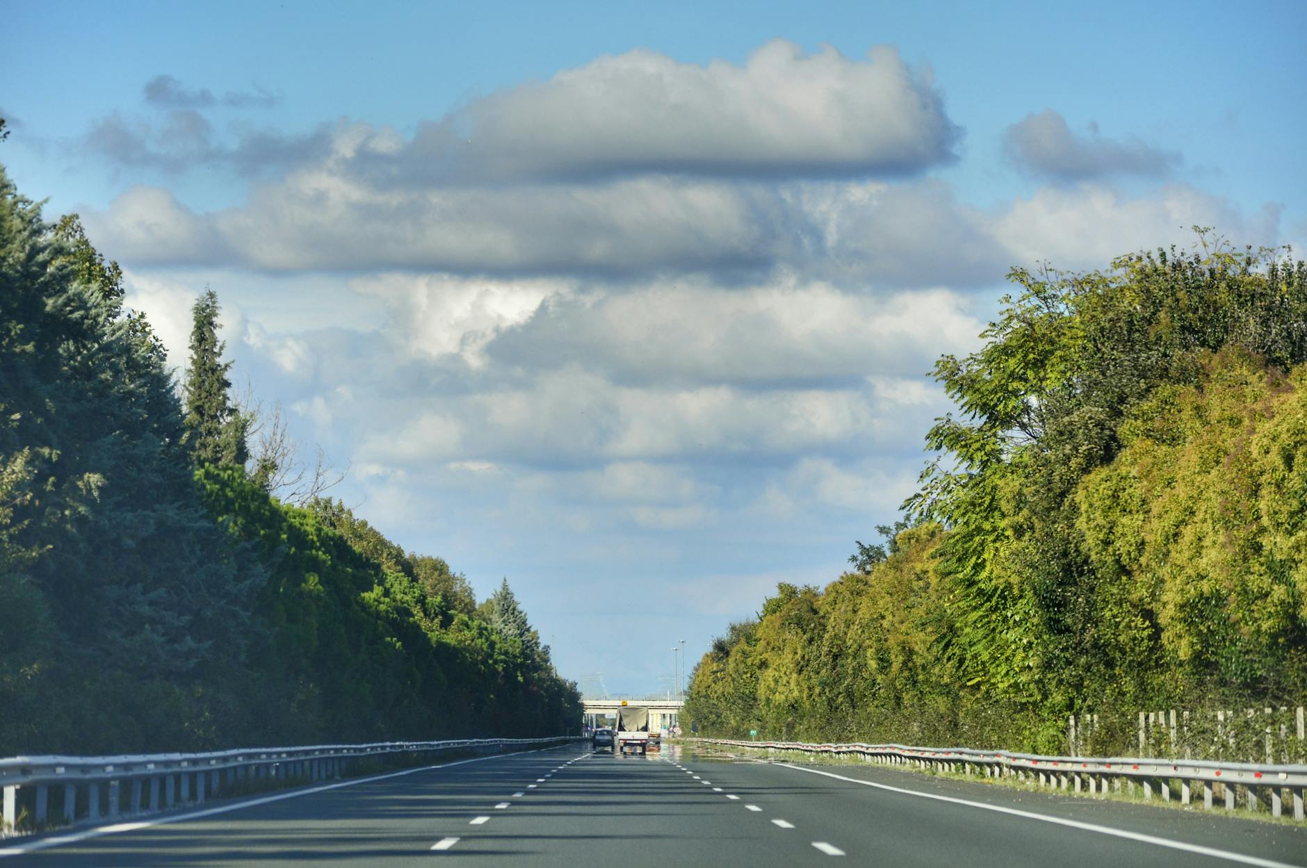 Scenic highway view with cloudy sky and symmetrical tree-lined road.