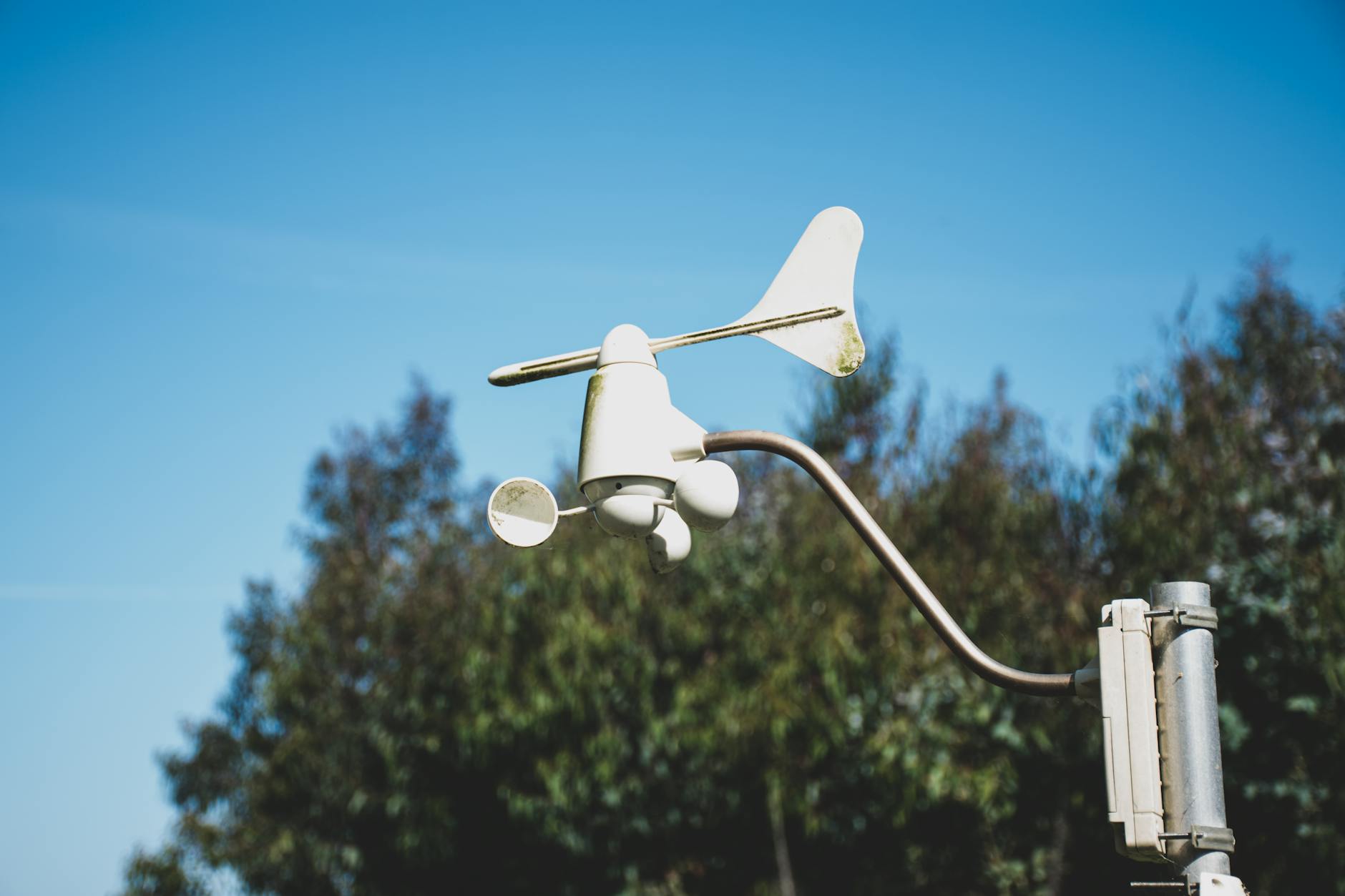 A white anemometer measuring wind speed against a clear blue sky, surrounded by greenery.