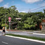 Homem Atravessa Rua Com Arvores Exuberantes Ao Fundo Ga1r0SYCoTg