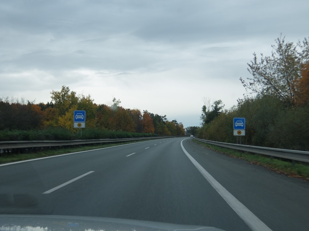 Rodovia Com Arvores De Outono E Sinais De Transito MLR_ysNyAA8