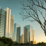 Sunlit skyscrapers with a bare tree foreground in Porto Alegre, Brazil, during sunset.