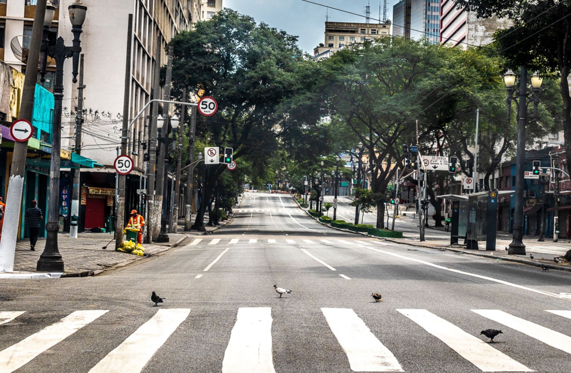 Empty street in São Paulo with birds crossing, showcasing urban tranquility.
