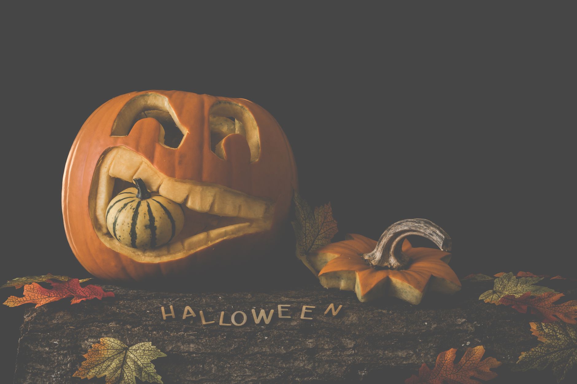 Carved jack-o'-lantern with a gourd and autumn leaves. Perfect for Halloween decor.