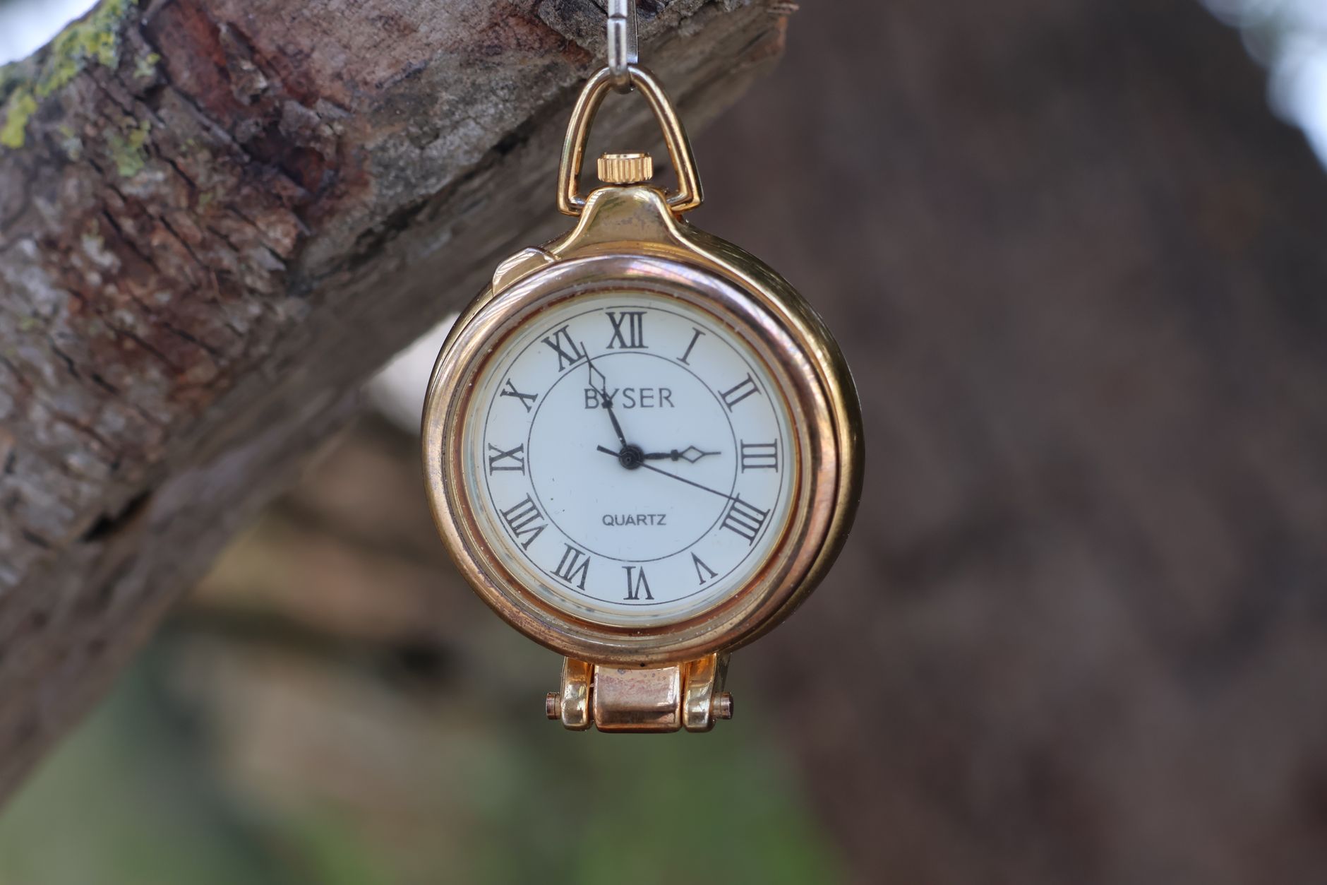 Elegant gold pocket watch hanging from a tree branch in El Puerto de Santa María.