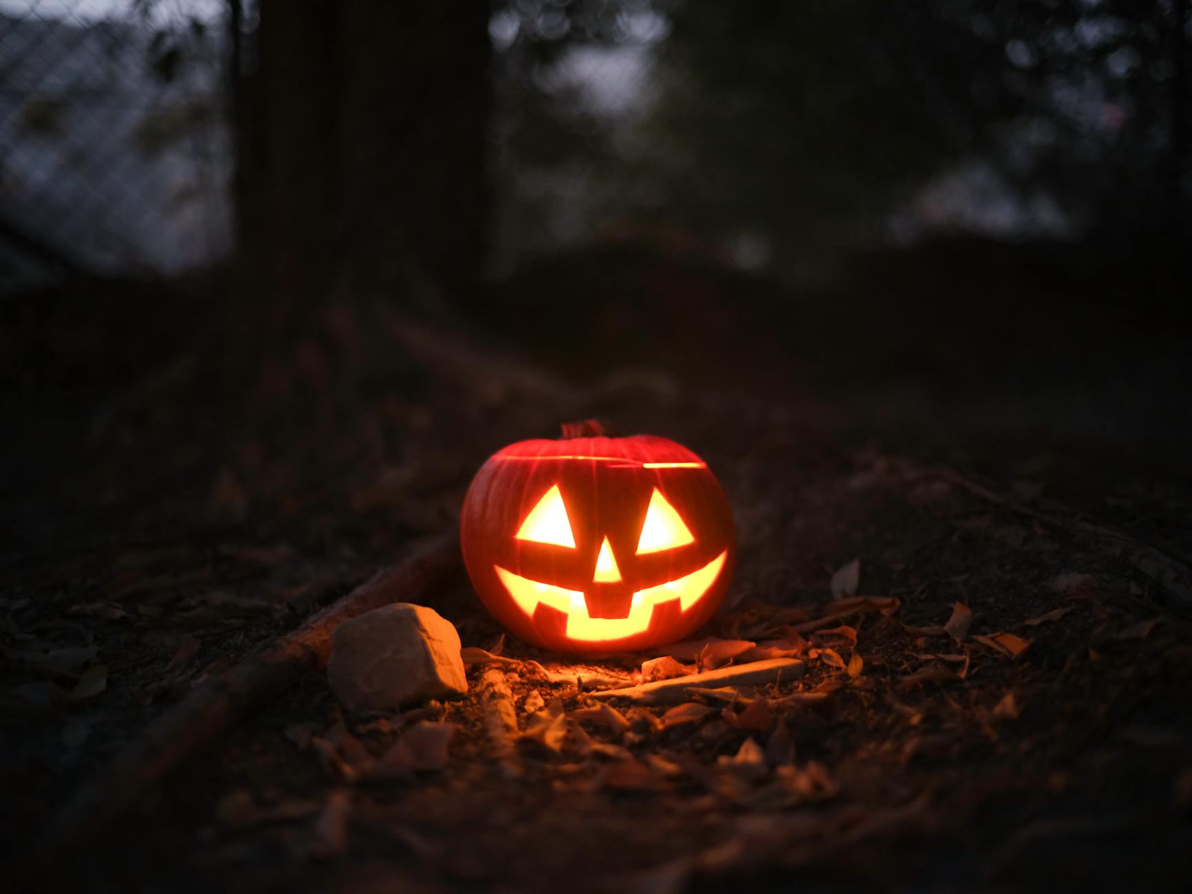 Glowing jack-o'-lantern in a spooky outdoor setting, perfect for Halloween themes.
