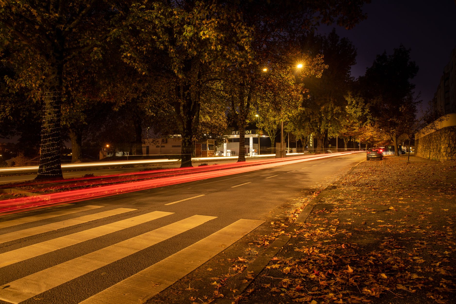 Captivating night view of a road in autumn with light trails and trees in São João da Madeira, Portugal.