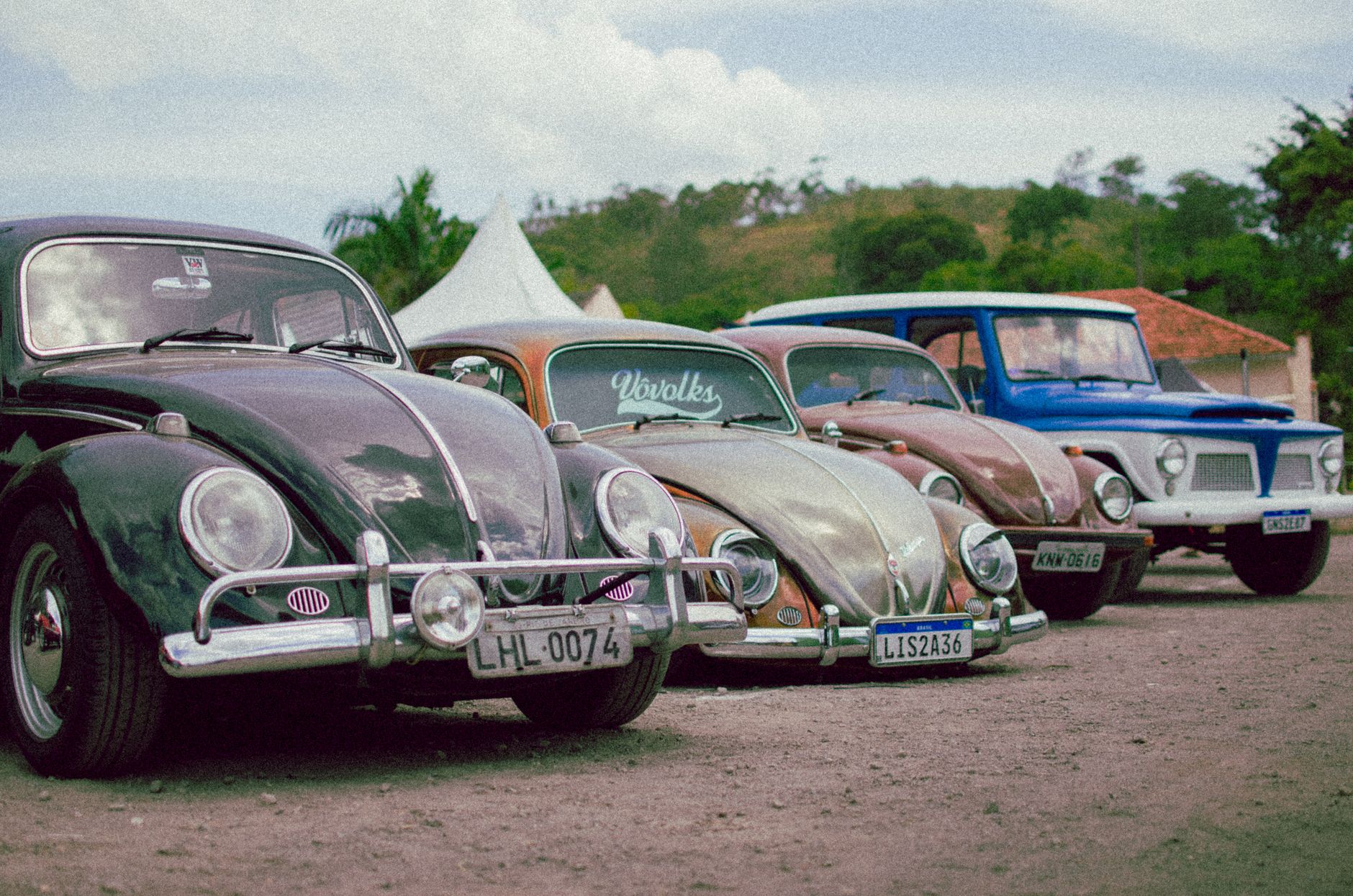 Collection of vintage Volkswagen cars parked outdoors, showcasing retro style.