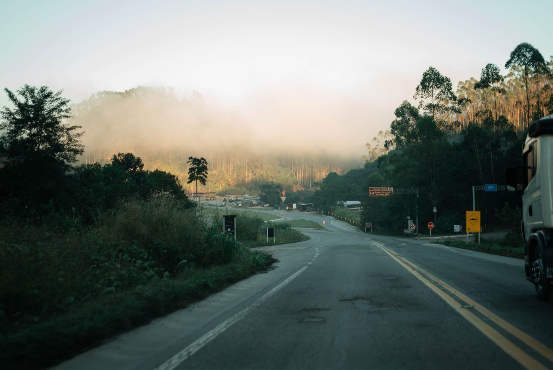 Foggy morning on a rural road in Brazil with lush greenery and serene atmosphere.