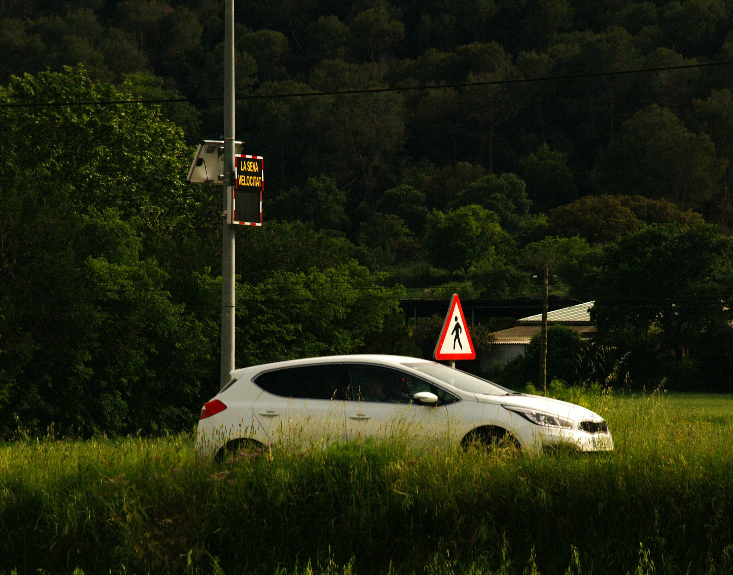 A white car and speed camera by the road.